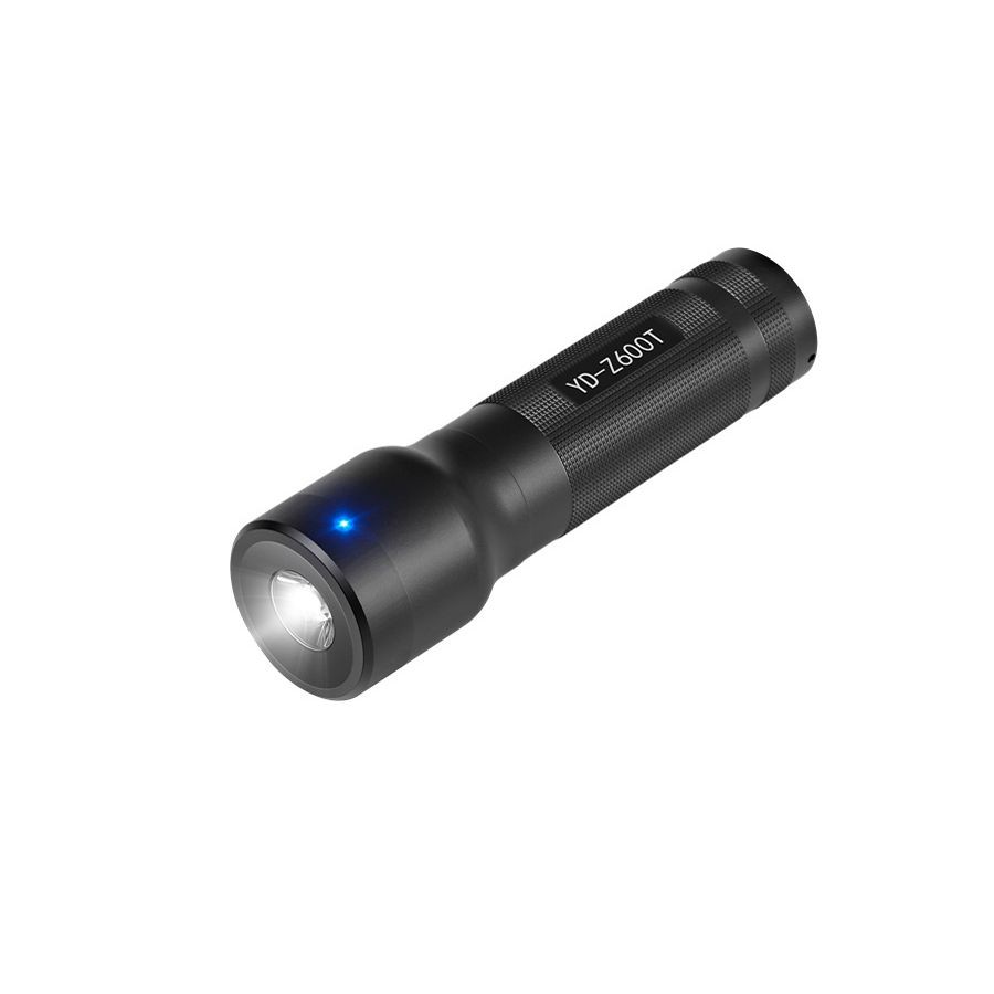 Torch Probe Guard Monitoring System